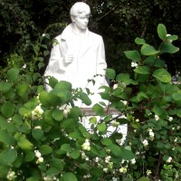 Есенин притаился в кустах)…